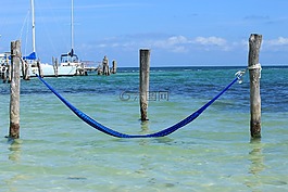 人體內(nèi)的水,海,夏天