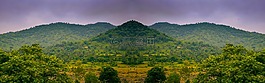 全景圖,側(cè),綠色