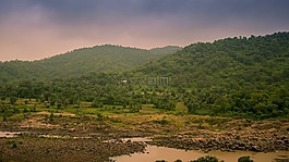 綠色,天空,樹(shù)