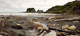 海景,漂流木,海