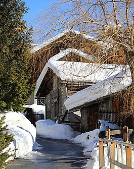 木材,雪,冬天