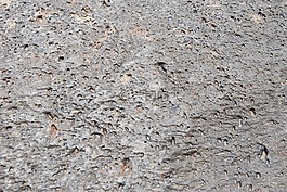 石,pumus,火山岩石