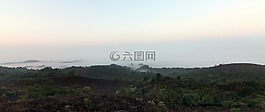coorg,霧,森林