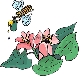蜜蜂,飞行,昆虫