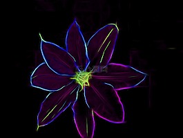 藝術作品,藝術,花