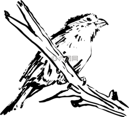 鳥,枝杈,翅膀