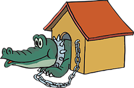 鱷魚,領(lǐng),首頁
