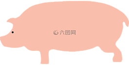 豬,動(dòng)物,粉紅色