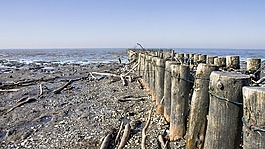 海灘,海岸,海