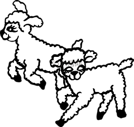 動物,跳躍,羔羊