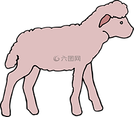 粉紅色,羊肉,動(dòng)物