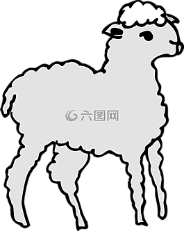 灰色,站在,羊肉