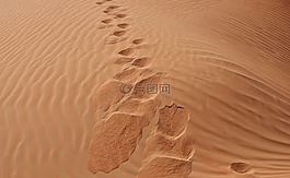 沙,沙漠,桑迪