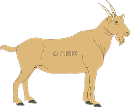 棕色,查看,谷倉