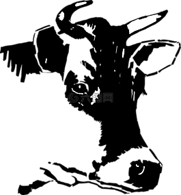 牛,頭,臉