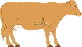 牛,牲畜,農(nóng)場