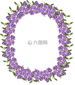 幀,邊境,紫色