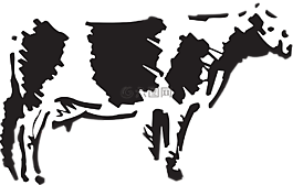 牛,牲畜,農(nóng)場(chǎng)
