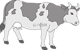 牛,牲畜,農(nóng)場