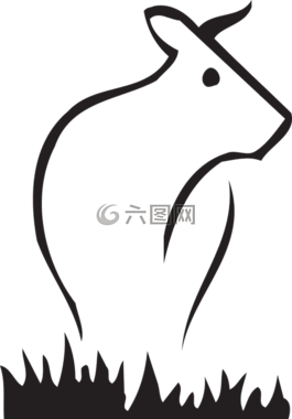 牛,牲畜,农场