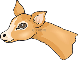 鹿,頭,野生動物