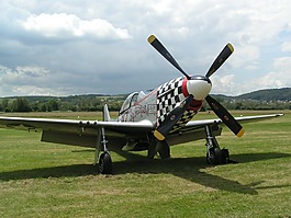 飛機(jī),野馬,空軍