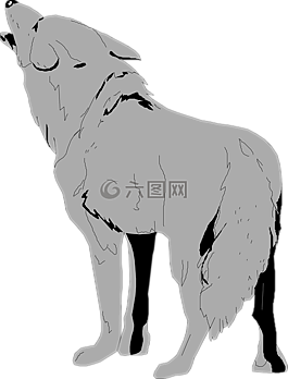灰色,動物,尾巴