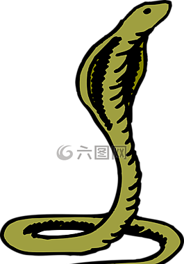 眼鏡蛇,頭,綠色