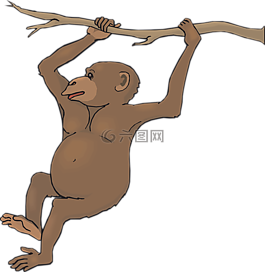 枝杈,擺動,動物