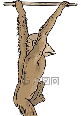 枝杈,擺動,動物