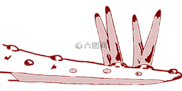部分,身體,恐龍