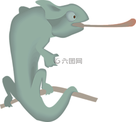 枝杈,綠色,變色龍