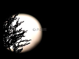 月亮,樹枝,夜