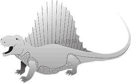 開(kāi)放,口,銀
