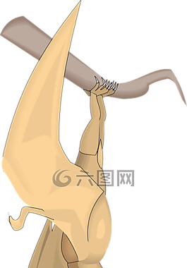 鳥,枝杈,翅膀