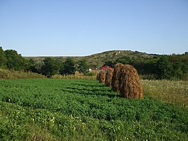 农村,草堆