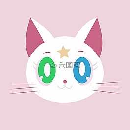 貓,白,可愛