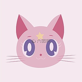 貓,羅莎,小貓