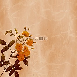 背景,剪貼簿,紋理
