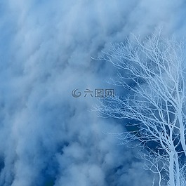 背景,剪貼簿,紋理
