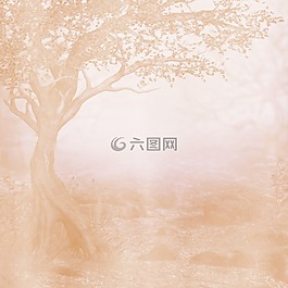 背景,剪貼簿,紋理