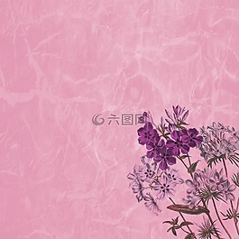 背景,剪貼簿,紋理