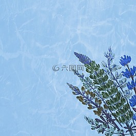 背景,剪貼簿,紋理