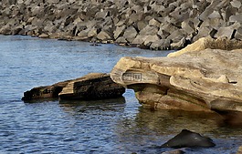 岩,海,海边
