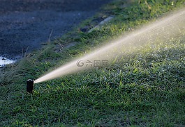 水,澆水,花園