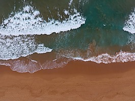 海灘,雄蜂,水
