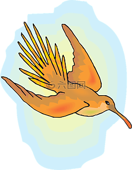 太陽,天空,鳥