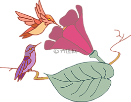 叶,花,鸟