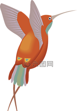 紅色,橙色,蜂鳥
