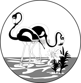 水,火烈鳥(niǎo),長(zhǎng)